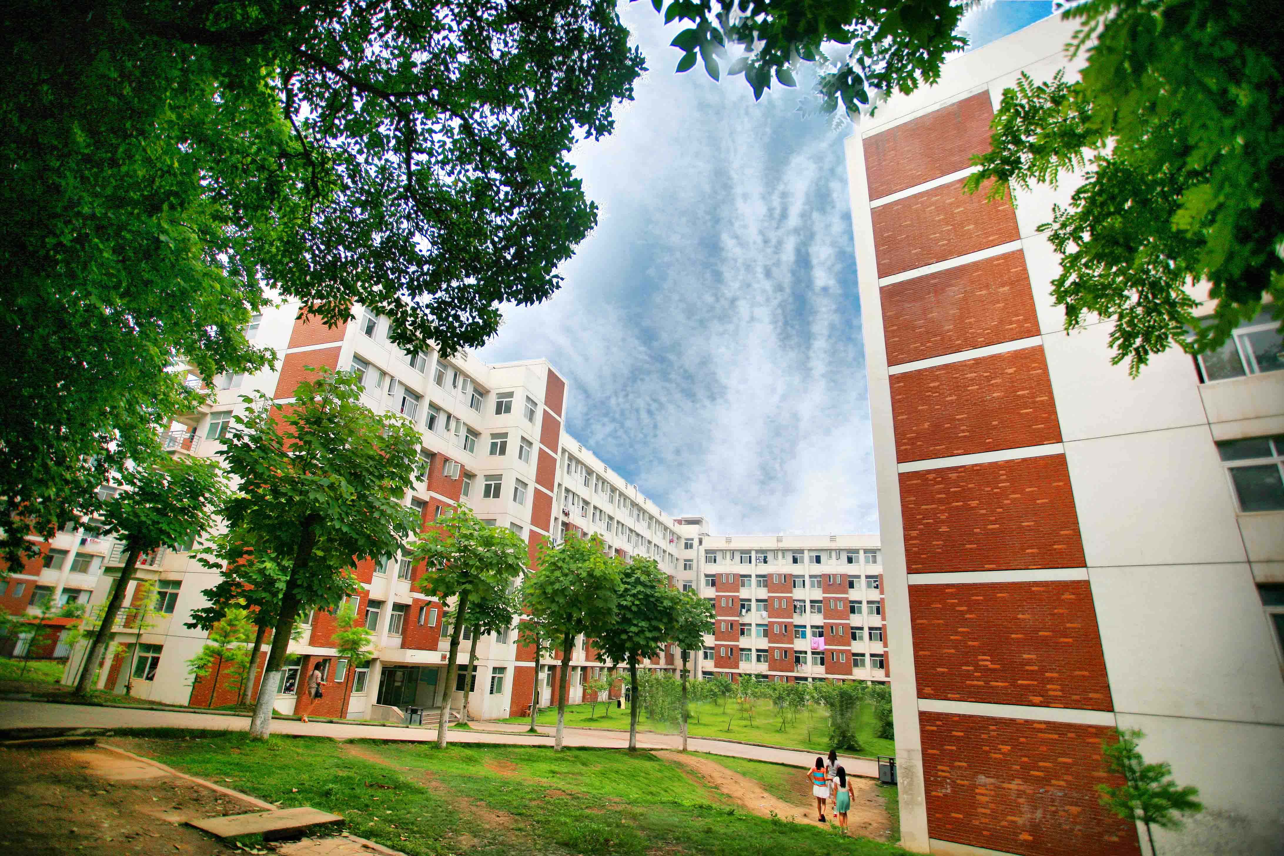 学校2